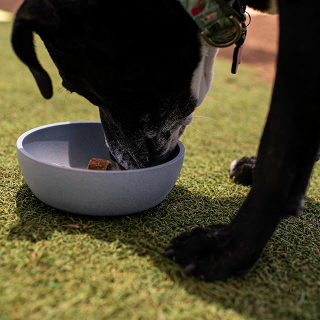 Foto 4 de 6 de Loving Pets - Dolce Bamboo - Cuenco de Agua para Comida para Perros (pequeño, Gris Pizarra)