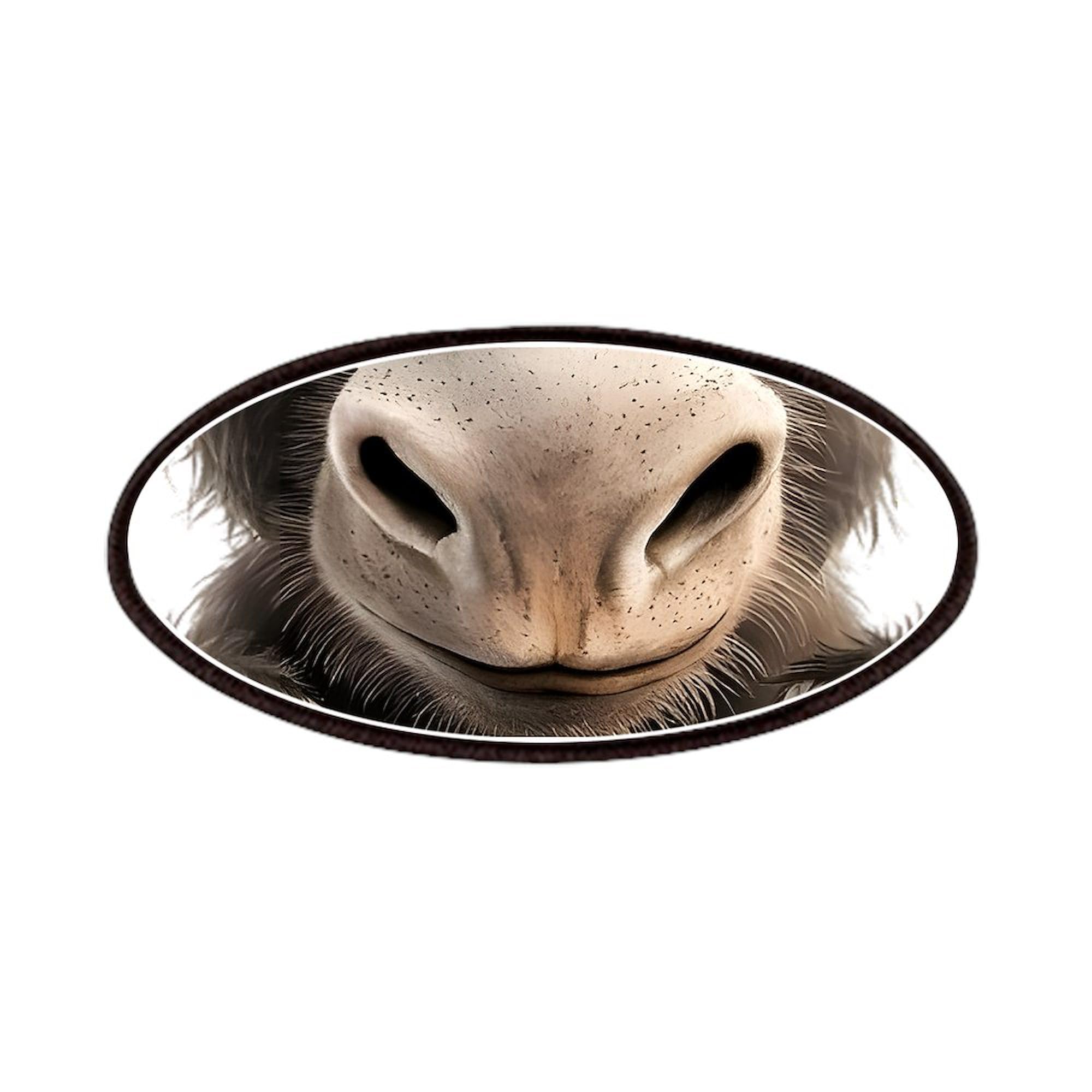 CafePress A Close Up Of A Appears 4