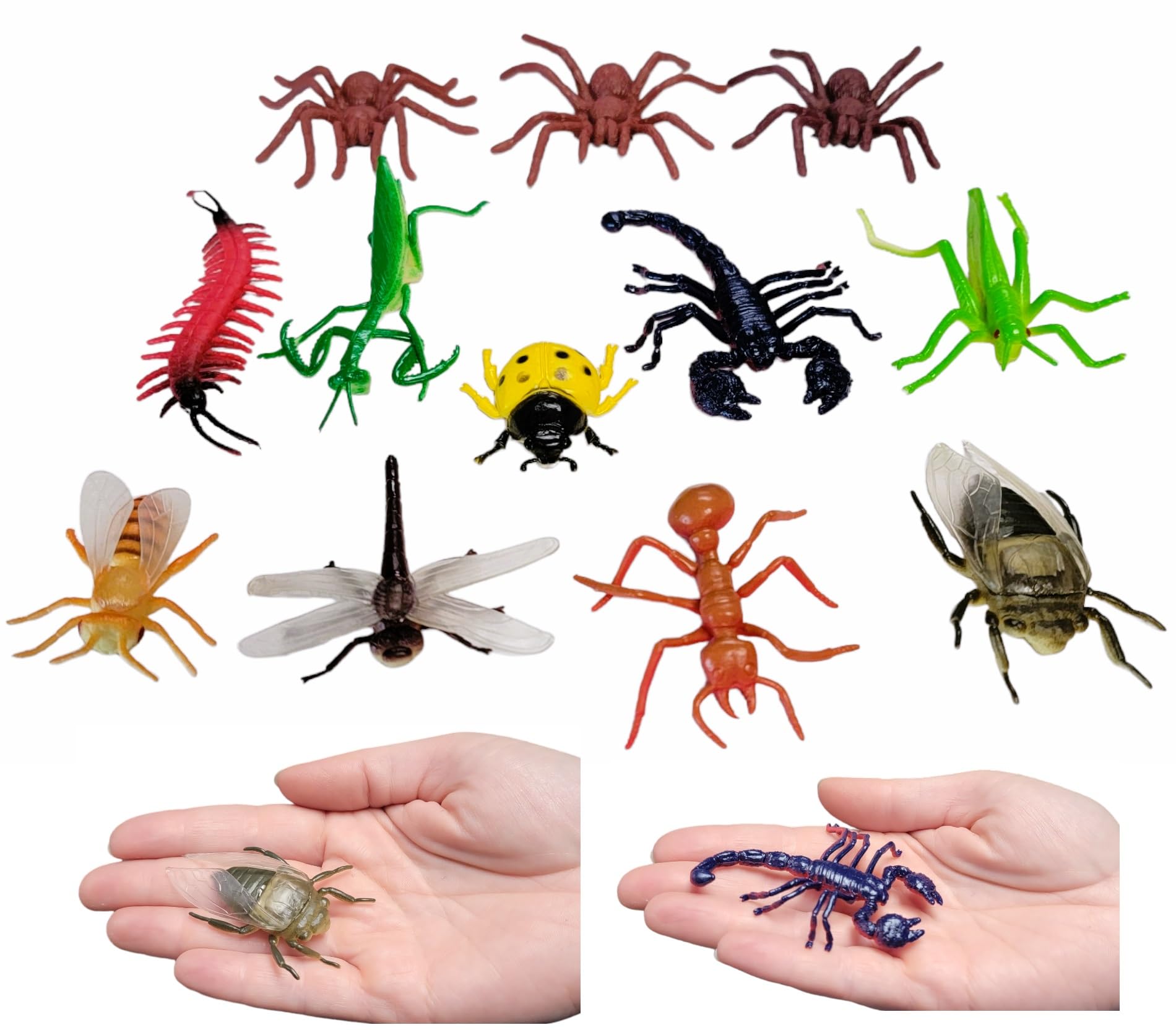 Large 2"-3" Insect Set (12 Pieces) Plastic. 12 Realistic Looking Designs. Lady Bug, Scorpion, Spider, Ant, Grasshopper, Fly, Praying Mantis and More. (Classic, 12, Pack)