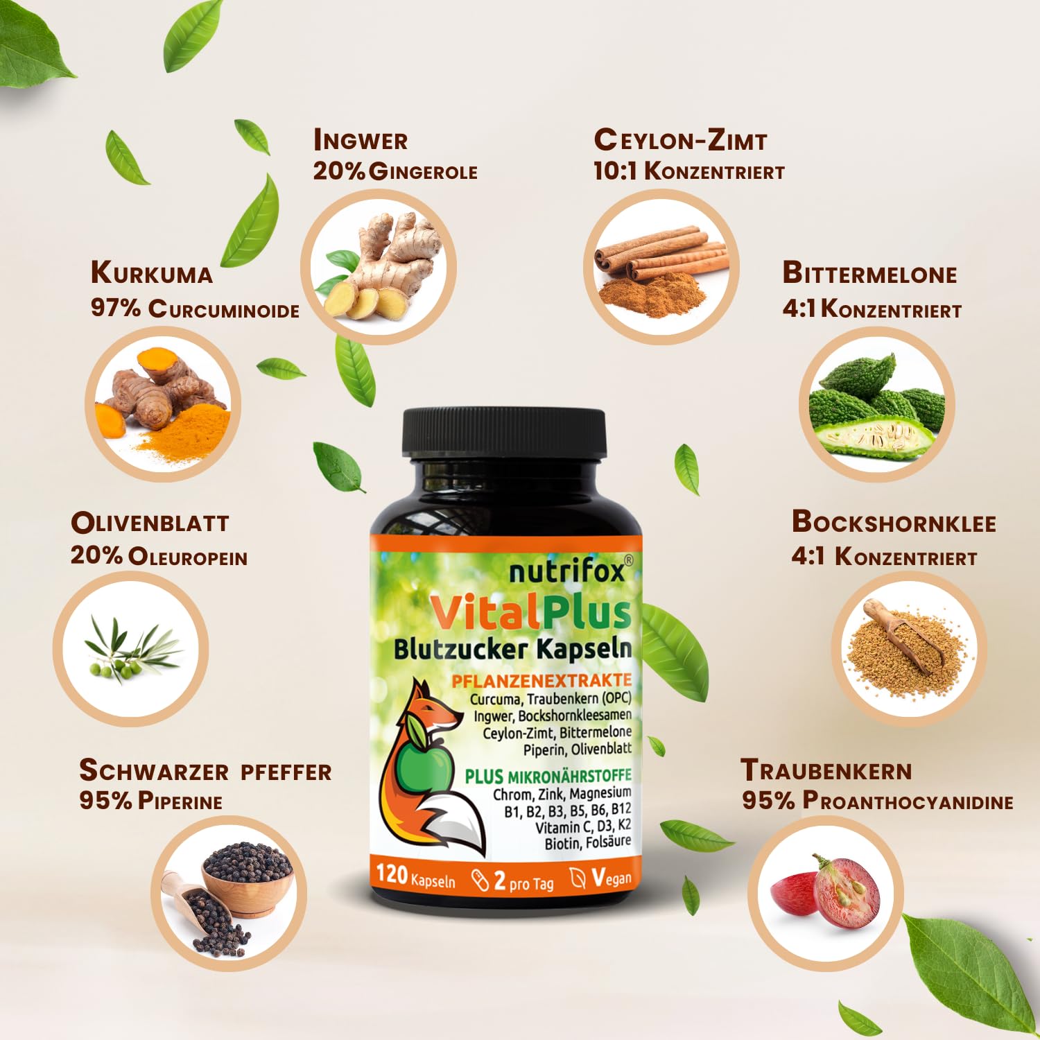 120 Blutzucker Kapseln Vital Plus (Ceylon-Zimt, Chrom, Zink, OPC, Bittermelone, Bockshornkleesamen, Kurkuma, Ingwer, Vitamin B Komplex, usw.) 2 Monate, von Beratern für Diabetes