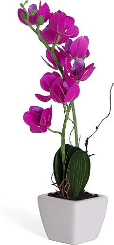 Miniatura 9 de Bornbridge Orquídea artificial, planta falsa con flores de tacto real, flores artificiales de tallo largo sintético, flores falsas en maceta