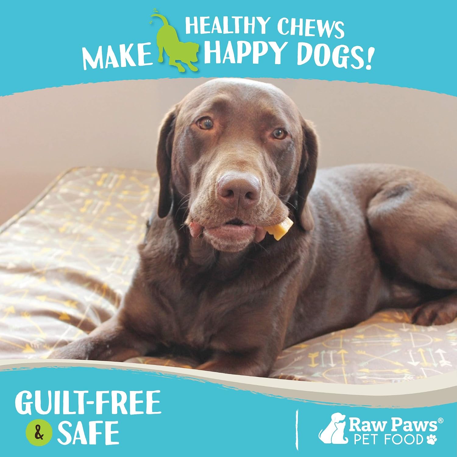 Raw Paws Himalayan Yak Chews for Dogs, Medium (4 Count) - Packed in USA - Tibetan Yak Cheese Dog Chews for Medium to Large Breeds - Hard Milk Dog Chew Bones - Single Ingredient & Long Lasting
