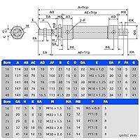 Vista 2 de TAILONZ PNEUMATIC Cilindro de Aire de 16mm Orificio 25mm Carrera de Doble Acción con Conector Y y 2 Piezas de Conexión de 6mm MAL16x25