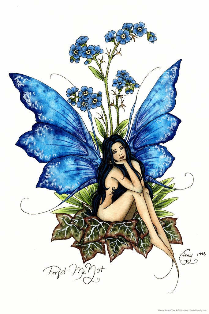 Amazon.com: Forget Me Not by Amy Brown Cool Wall Art Print Poster