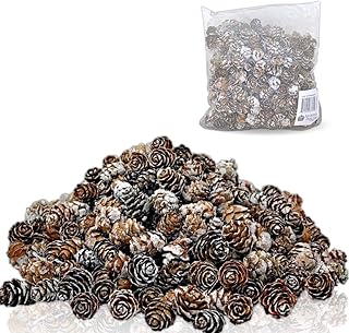 BANBERRY DESIGNS Bulk Lot of White Washed Real Pinecones - Approx. 375 Pieces (1/2 lb Bag) of Assorted Sized Pine Cones - Fall and Christmas Bowl Filler Decorations