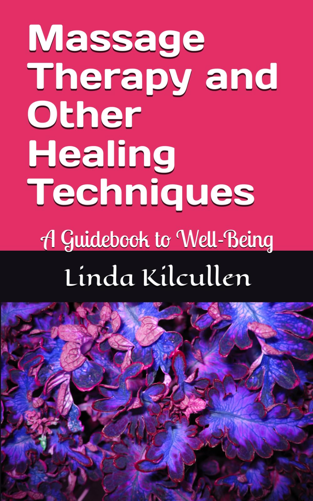 Massage Therapy and Other Healing Techniques: A Guidebook to Well-Being