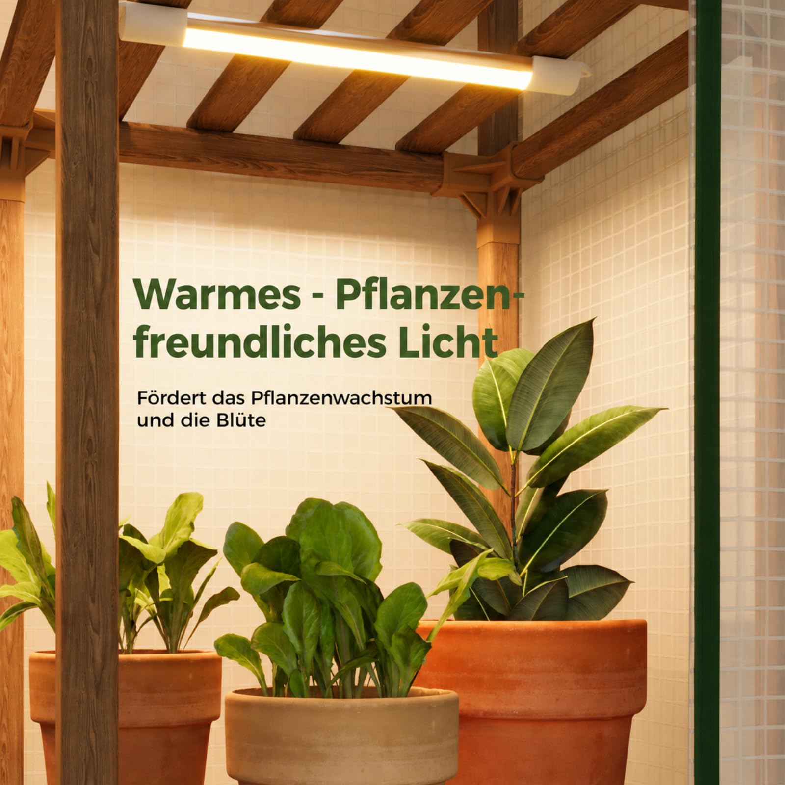Bamworld Zimmergewächshaus Mini mit Pflanzenlampe 3-Etagen Foliengewächshaus als Stabiles Tomatengewächshaus und PE-Abdeckung Gewächshaus Klein für Balkon, Terrasse und Wintergarten