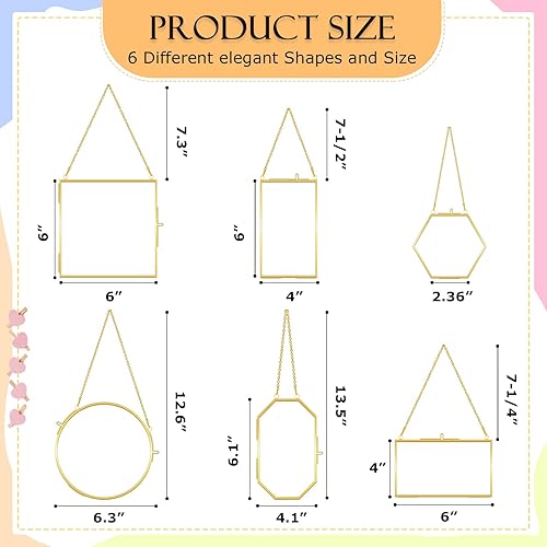 Miniatura 2 de 6 marcos de vidrio de latón para flores prensadas, marcos de fotos colgantes con cadena, marco de vidrio doble transparente, marco flotante dorado,