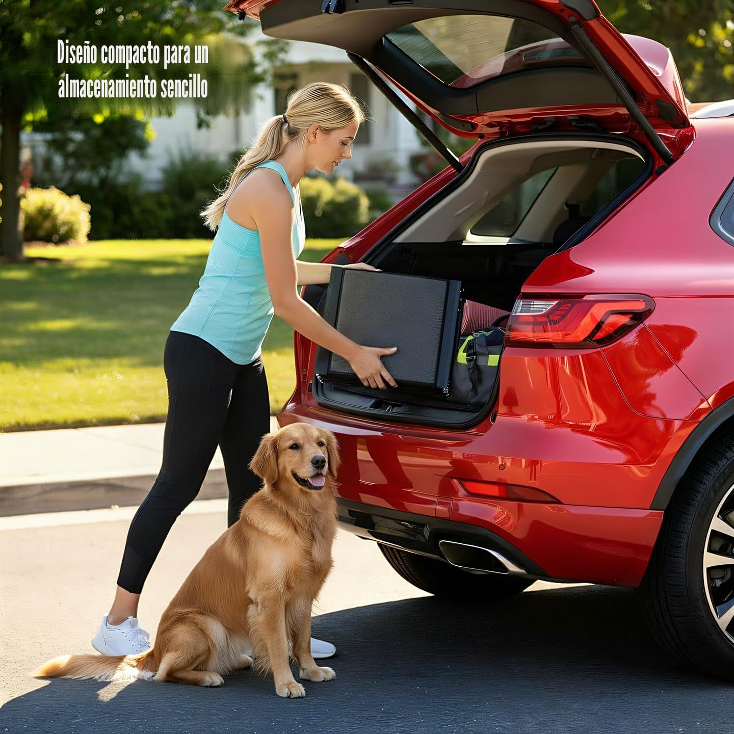Rampa para mascotas (160 x 44 cm), rampa para perros para automóvil, SUV y camión, 63 pulgadas de largo y 17 pulgadas de ancho, rampa plegable y portátil para mascotas con superficie de