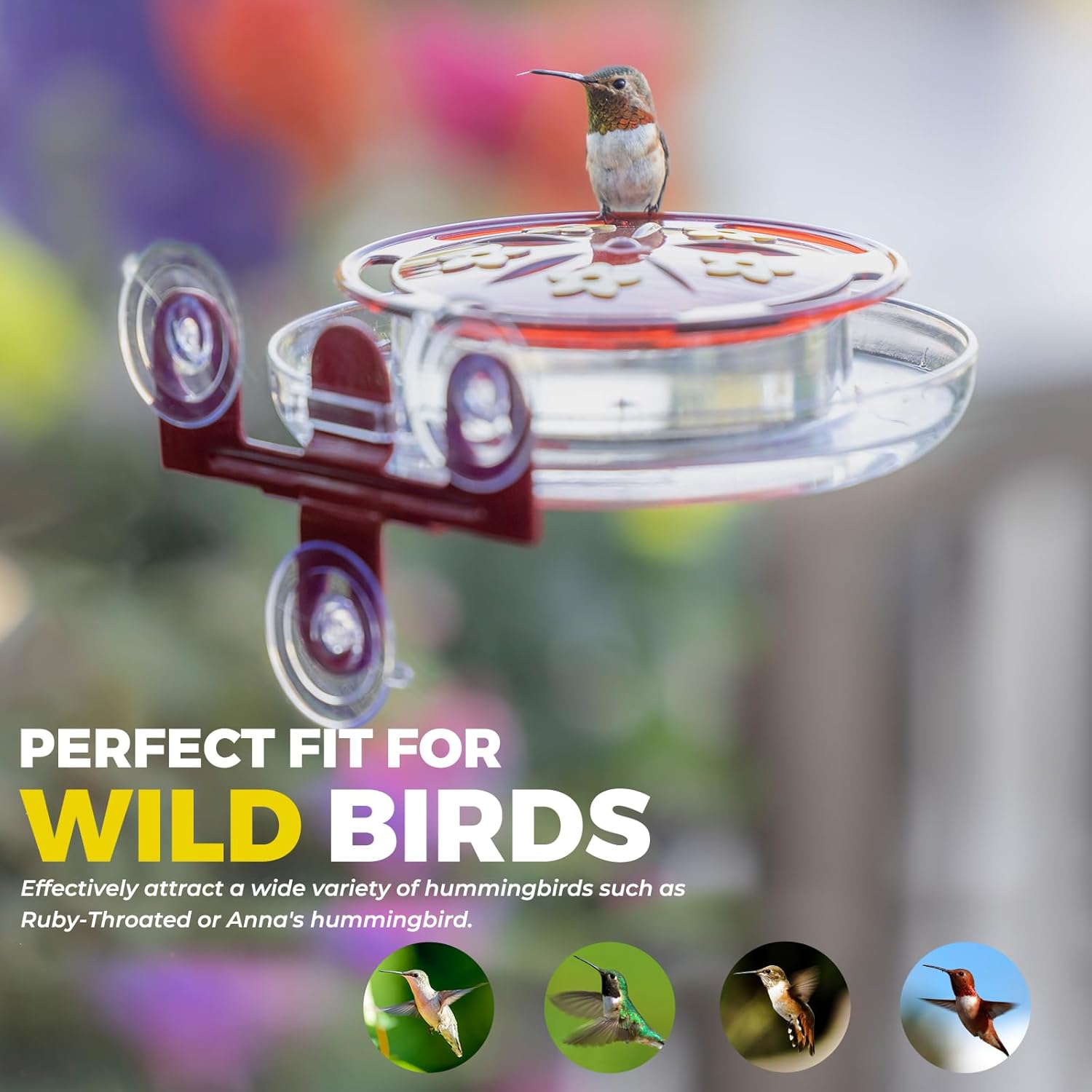 Kingsyard 2 Pack Window Hummingbird Feeders with Ant Moat, Strong Suction Cup Hummingbird Feeder for Outdoors - 8 Oz Leak Proof & 5 Bee Proof Feeding Ports, Red