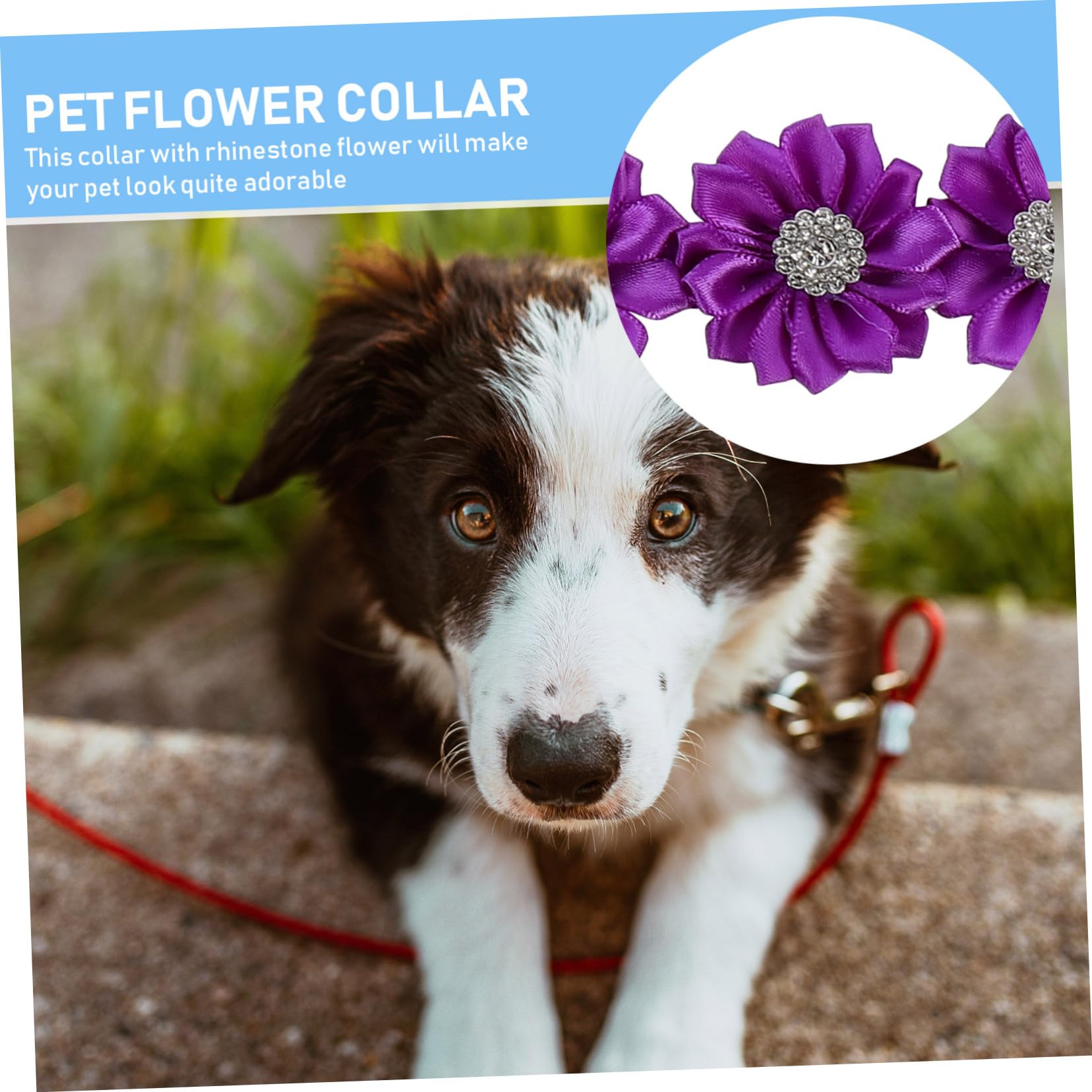 INOOMP 24stücke Hund Blumenhalsband Mit Strass Verstellbare Hundekrawatte Für Haustiere Für Partys Hochzeiten Und Besondere Anlässe