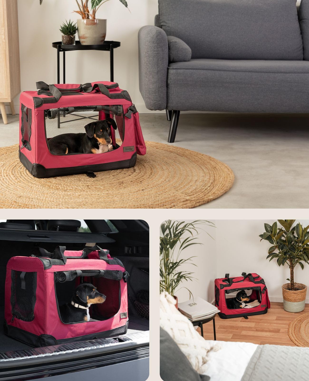 lionto Borsa trasportino per cani pieghevole per viaggi e auto, 50x34x36 cm, box di trasporto stabile con maniglie per gatti e animali fino a 10 kg, scatola in tessuto, rosso scuro