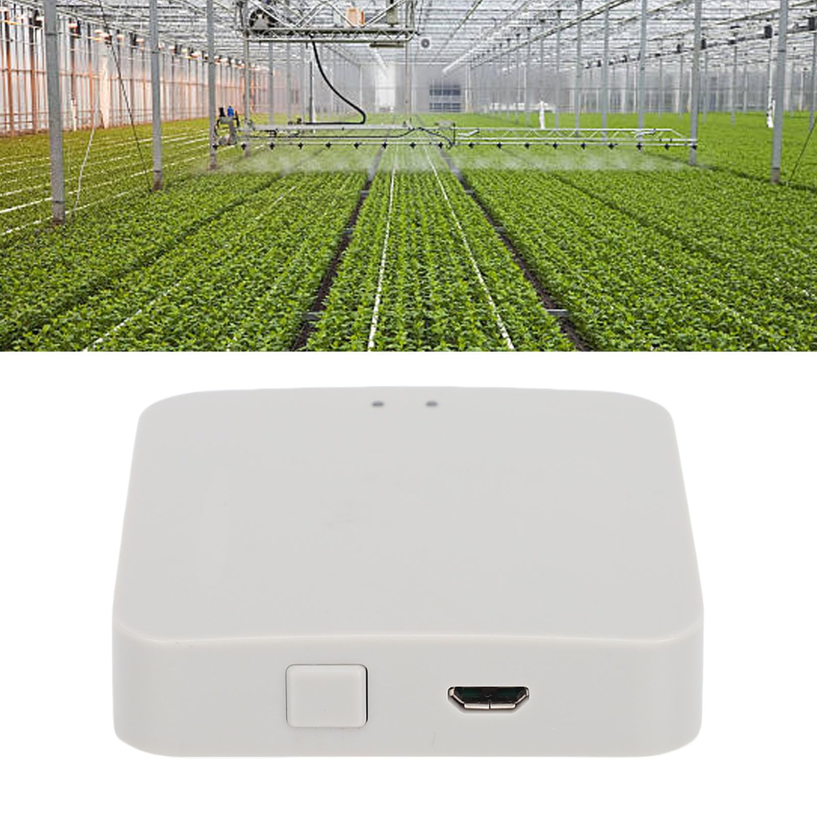 Nawadnianie Brama, 2.4G WiFi Bluetooth Hub