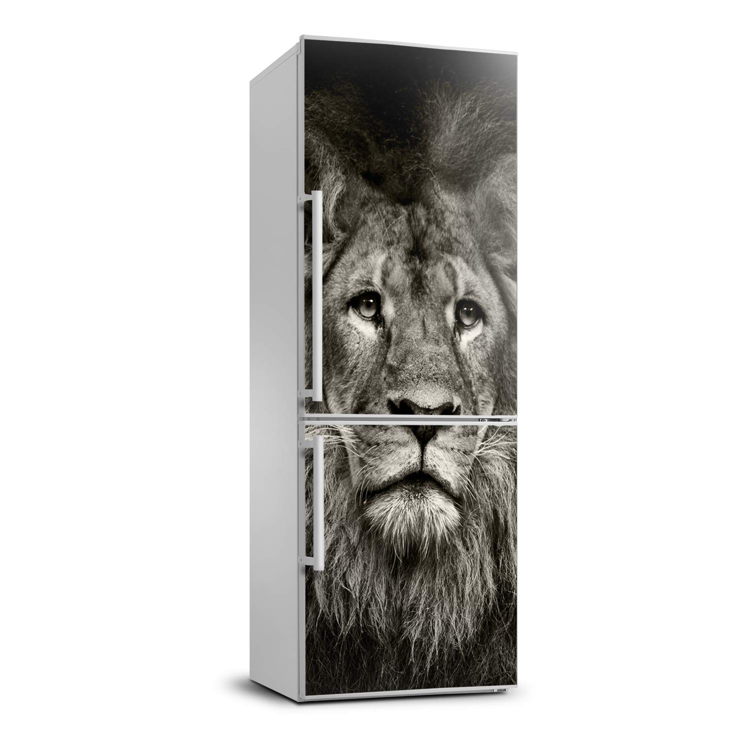 Autocollant frigo lion 70x190cm sticker de décoration adhésif mural