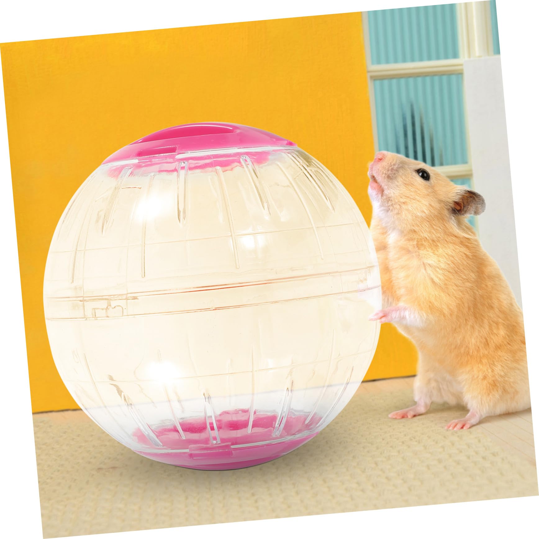 FRCOLOR 4 Pièces Boule Exercice Transparente Silencieuse pour Petits Animaux Roue de Course pour Hamster Souris Gerbille et Petit Mammifère avec Système Anti-évasion Légère et Portable
