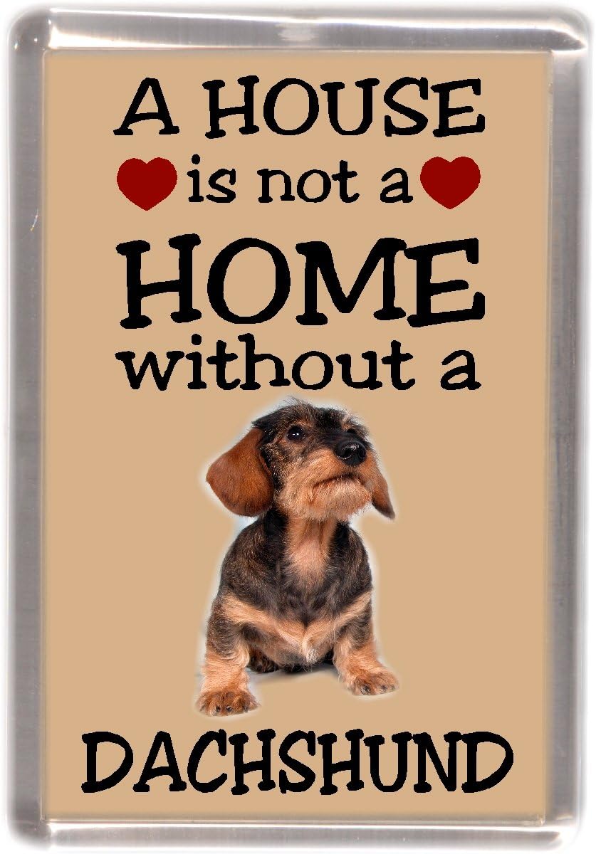 Dachshund Wire Haired Dog No. 4. Fridge Magnet"A House is Not a Home Without ."
