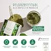 NATURTREU Greens Powder - 300 g Smoothie Powder with Wheatgrass Barley Grass Lucuma Maca Spinach Moringa Spirulina and More Green Helpers - 100% Vegan - Made in Germany