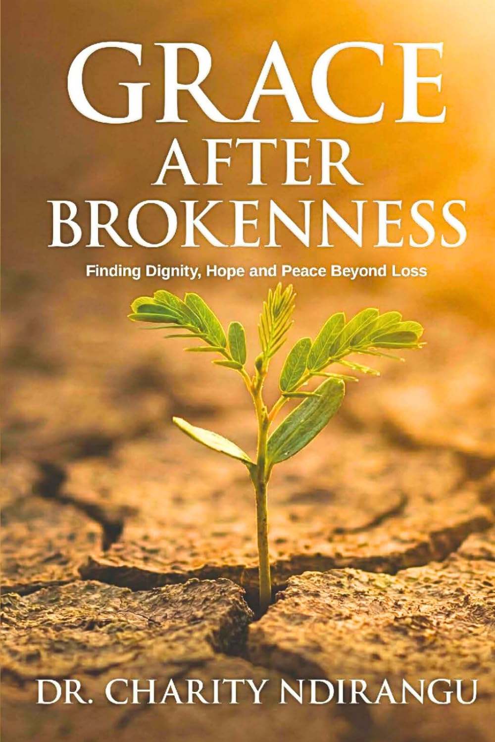 Grace After Brokenness: A Christian Journey Through Divorce