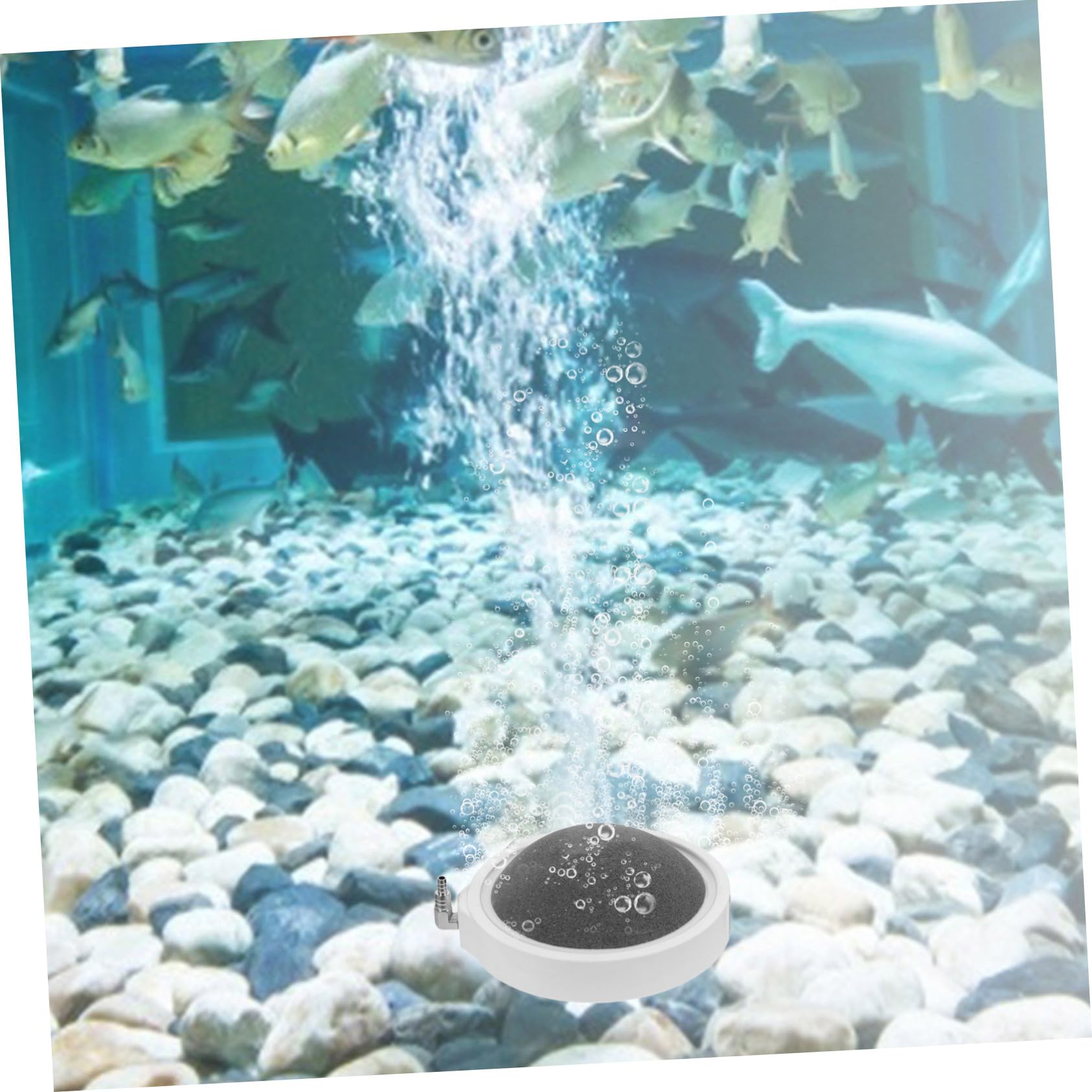 2piezas Disco De Aire para Acuario Piedra Difusora De Burbujas De Piedra De Oxigenación para Acuarios y Tanques De Peces Adecuado para Uso Diario