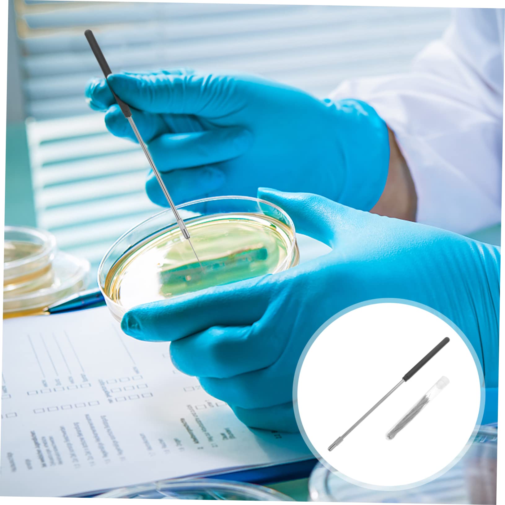 Anneome 3sets Inoculazione Inossidabile Per Microbiologia Kit Inoculante Per Esperimenti Scientifici e Didattici Isolante