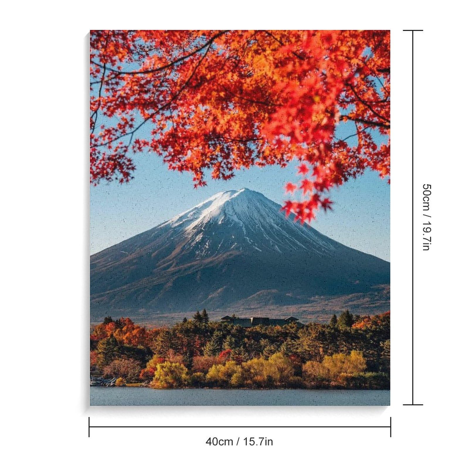 Amazon | 紅葉 日本 富士山 数字油絵 アニメの美学 数字キット