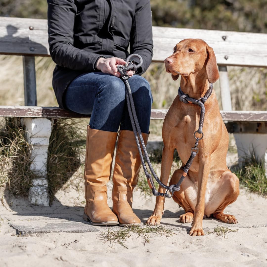 TRIXIE Guinzaglio per cani BE NORDIC V-Linea S – M, 2,00 m ø 8 mm in grigio scuro/marrone – guinzaglio regolabile con fascino nordico – per cani di piccola e media taglia – 17221