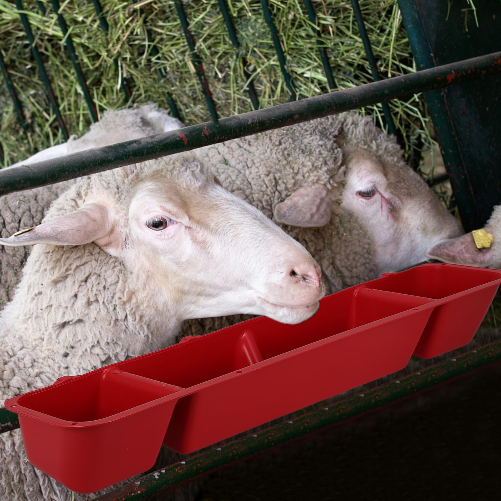 Mangiatoia Sospesa per Pollame 4 Pezzi in Plastica Rossa Scomparti Multipli, Bordo Anti-sgocciolamento, Facile da Smontare e Pulire per Spazi Confinati e Ambienti Umidi