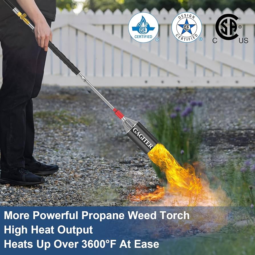 Havefundog one over fun ランタン bonbonero Havefundog one over fun ランタン bonbonero BONBONERO | Geek