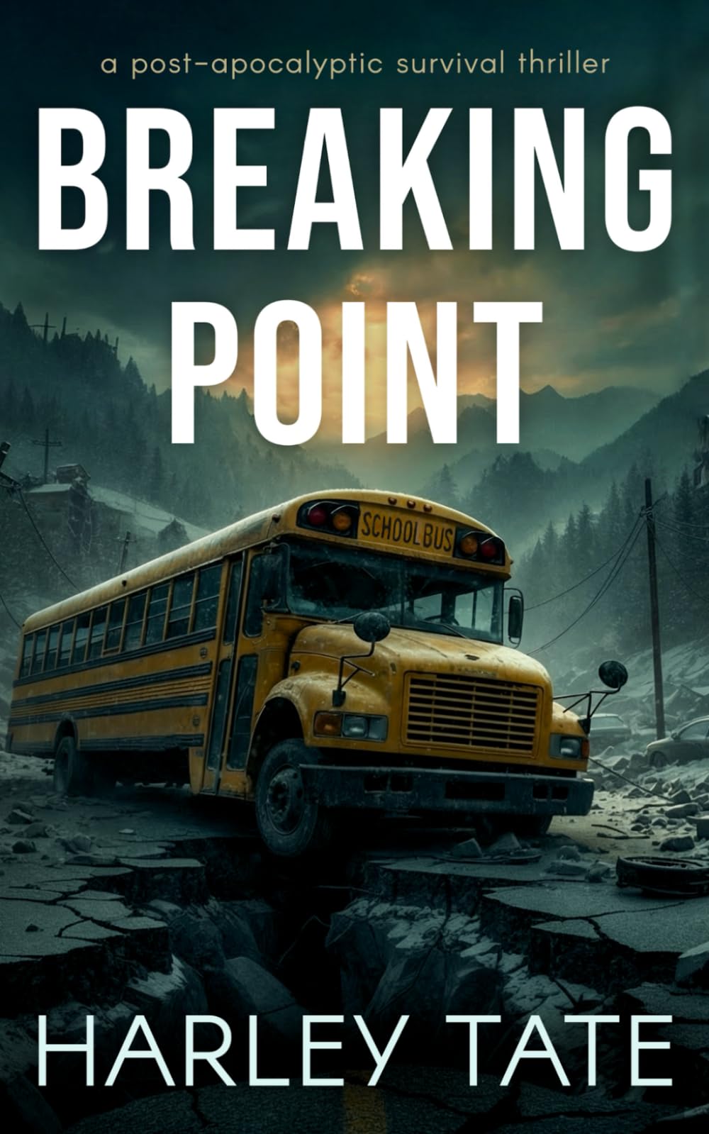 Breaking Point: A Post-Apocalyptic Survival Thriller