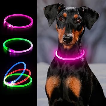 Light up Dog Collar, LED Dog Collar USB Rechargeable, YFbrite Waterproof Dog Collar Light for Small, Medium, Large Dogs & Cats Pink