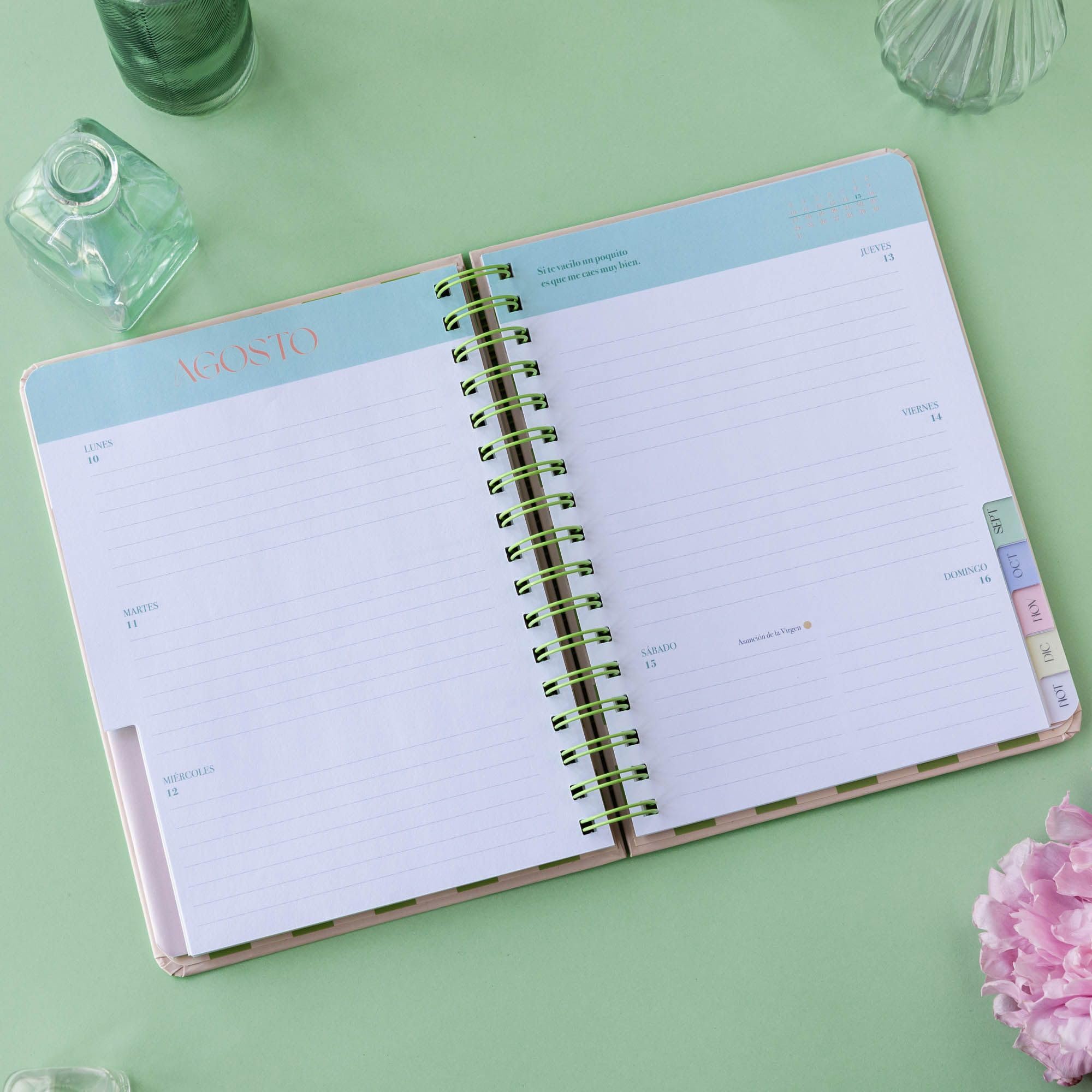 Agenda anual semanal 2026 Defreds (TANTANFAN)