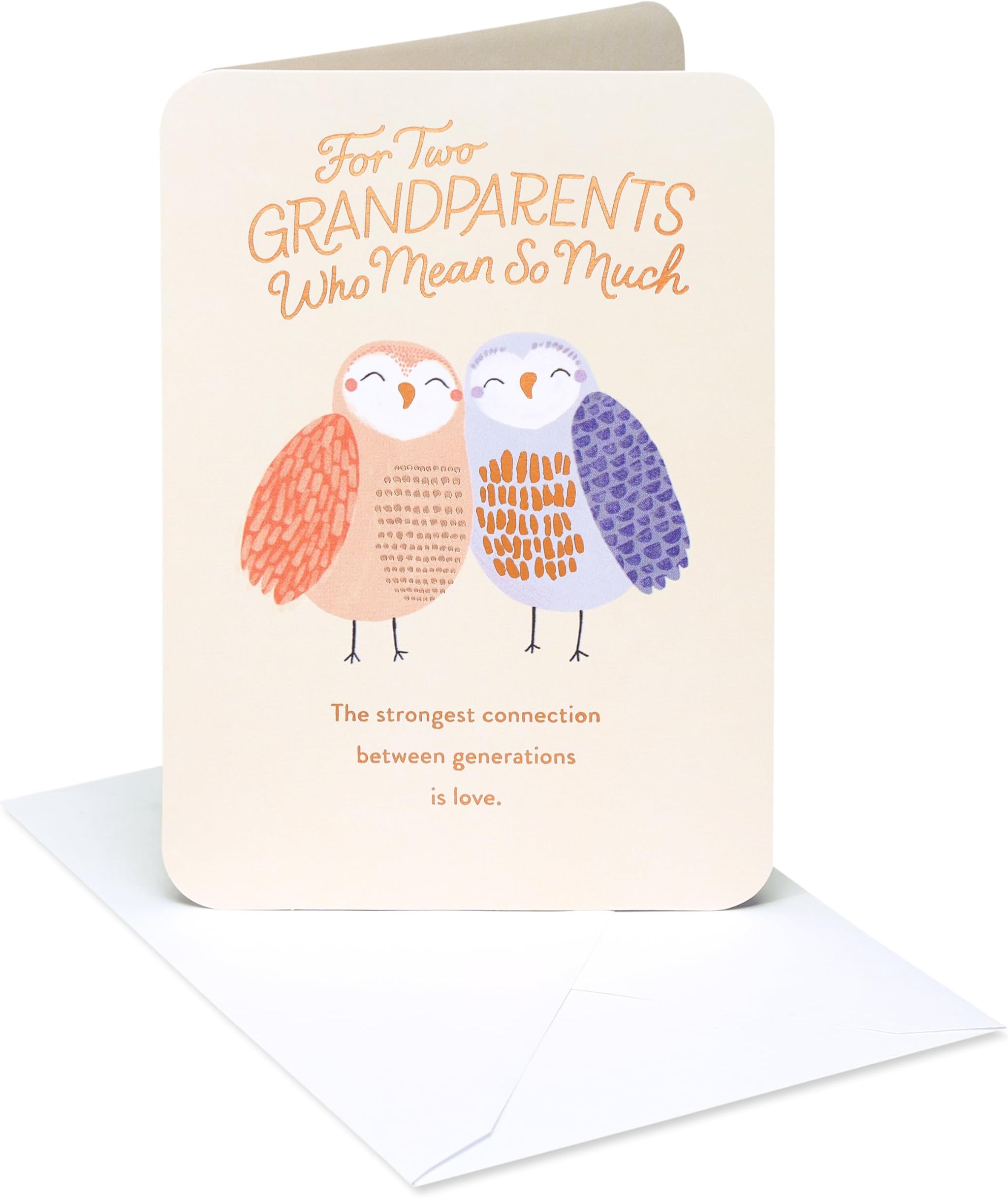 American Greetings Thinking of You Card for Grandparents (Strongest Connection)