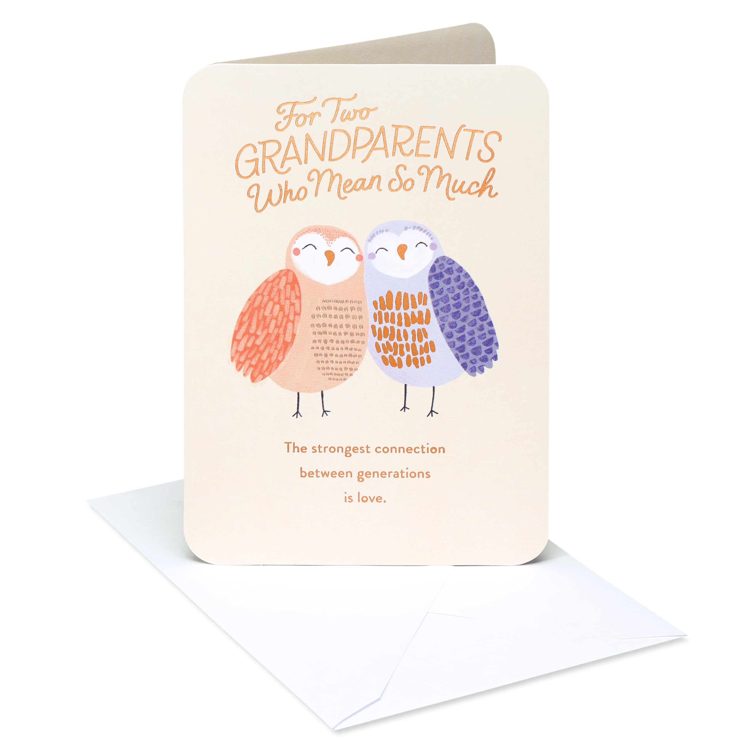 American Greetings Thinking of You Card for Grandparents (Strongest Connection)