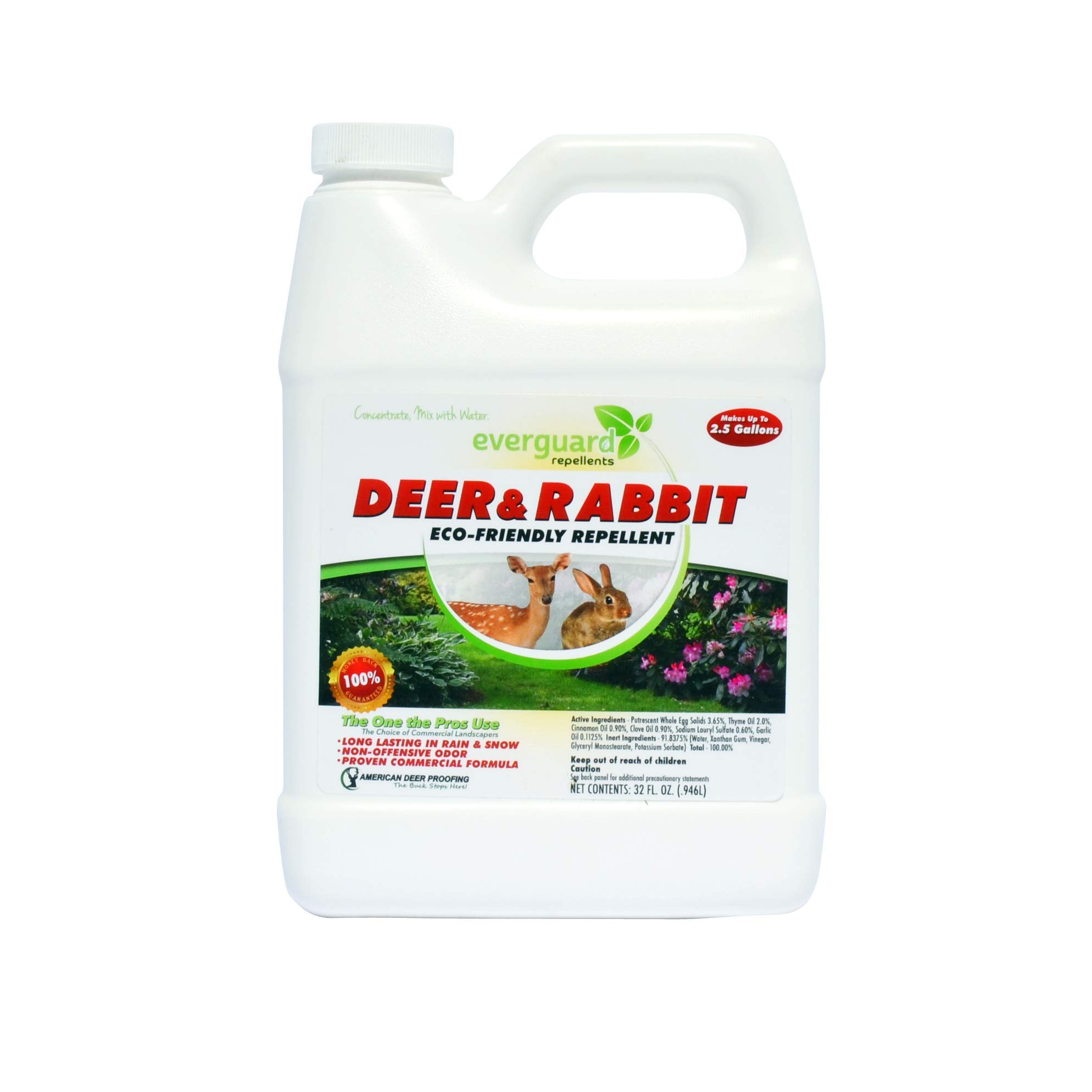 EverguardADPC032 Concentrated Deer and Rabbit Repellent