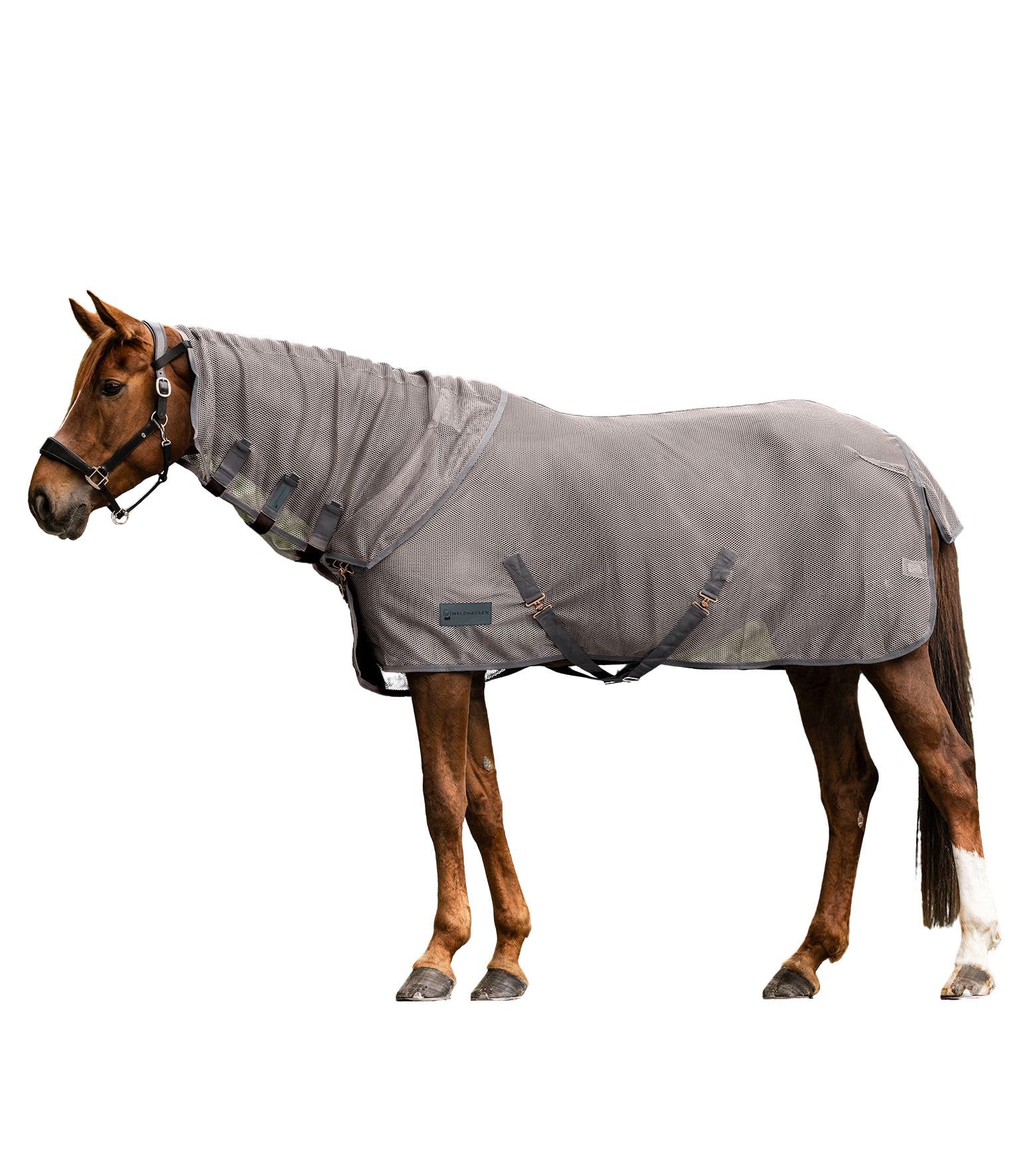 Ceinture anti-mouche Comfort Waldhausen pour la tranquillité des chevaux au paddock