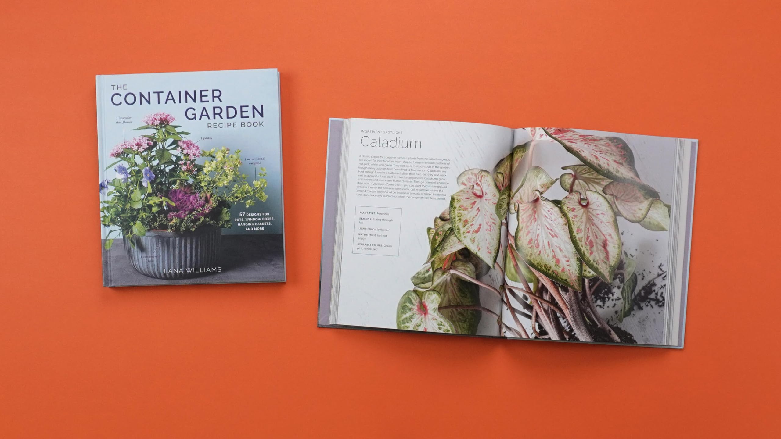 The Container Garden Recipe Book: 57 Designs for Pots, Window Boxes, Hanging Baskets, and More