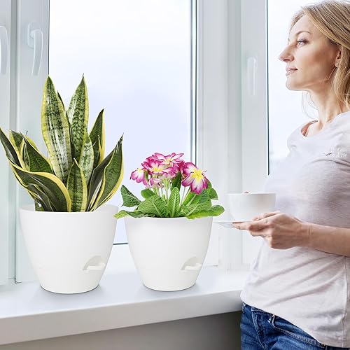 Miniatura 6 de QRRICA Macetas de 10987.57 pulgadas, juego de 5 macetas de plástico con agujeros de drenaje y platillos, macetas de plástico, maceta de guardería