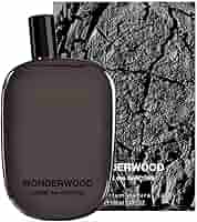Comme des Garçons Wonderwood Eau de Parfum 100 ml : Amazon
