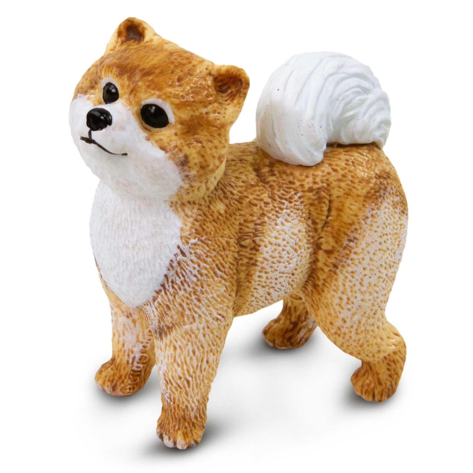 Amazon.com: Safari Ltd. Pomeranian - Realistic 2