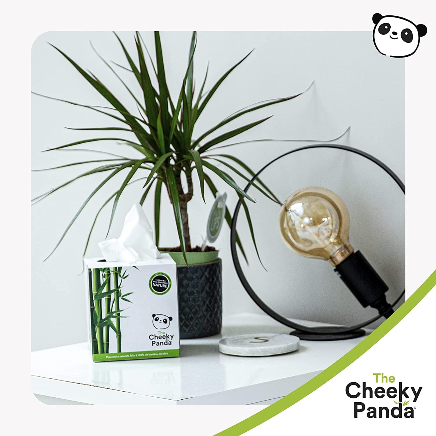 The Cheeky Panda Bamboo Facial Tissues Boxes | 12 x Tissue Boxes | Soft 3 Ply Bamboo Tissue Paper Bulk | Sustainable Tissues Cube Box