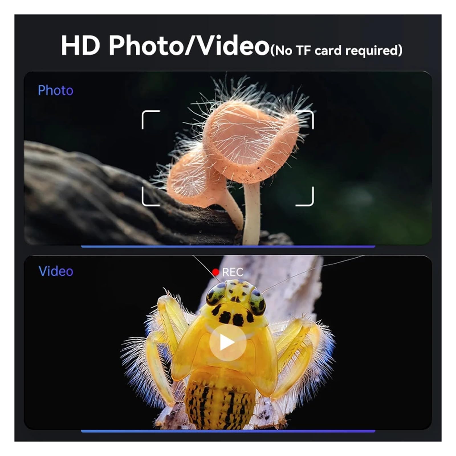 Microscopio digitale da 4,3'' 50X-1000X con memoria integrata, microscopio a moneta 1080P, ingranditore, microscopi video elettronici a 8 LED for riparazioni
