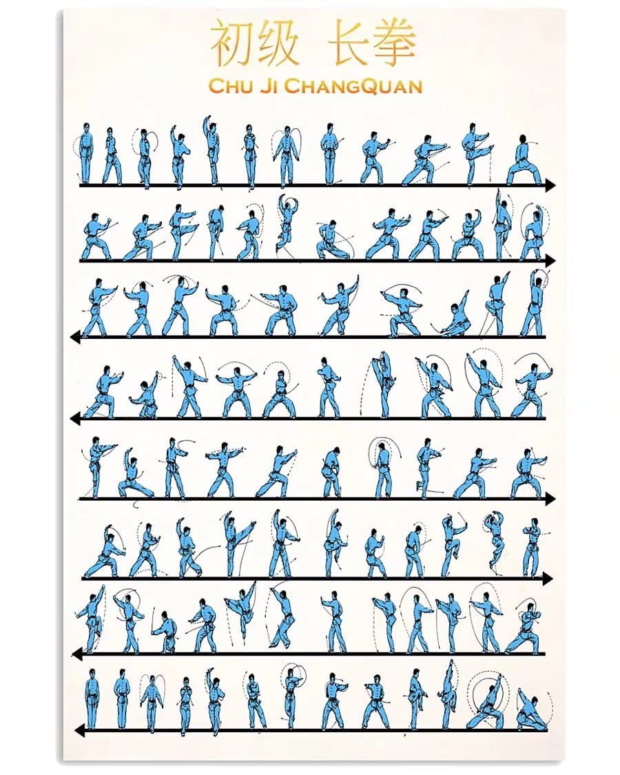 rayprint Changquan Knowledge Metal Sign Martial Arts Chu Ji Changquan Infographic Posters Martial Arts Club Home Bar Plaque Wall Decor 8x12 Inches