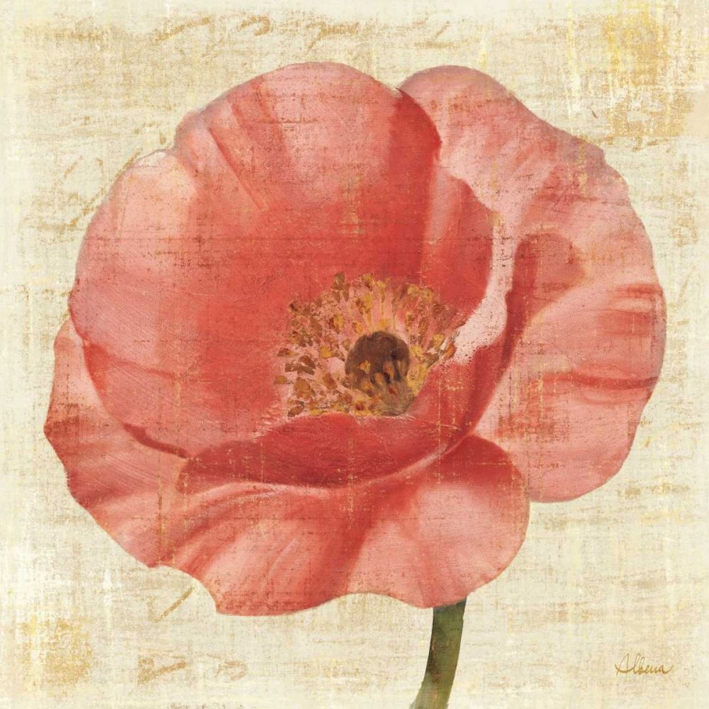 Image sur toile roulée Motif coquelicot sur crème Hristova Albena – Impression florale carrée art blush blush fleurs florales fleurs florales fleurs fleurs florales fleuries 23_X_23_in