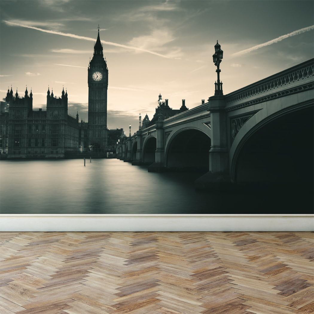 RoyalWallSkins Wall Mural Sunlight in The Park, Peel and Stick Repositionable Fabric Wallpaper for Interior Home Decor (70"w x 51"h, WMYJH150320)