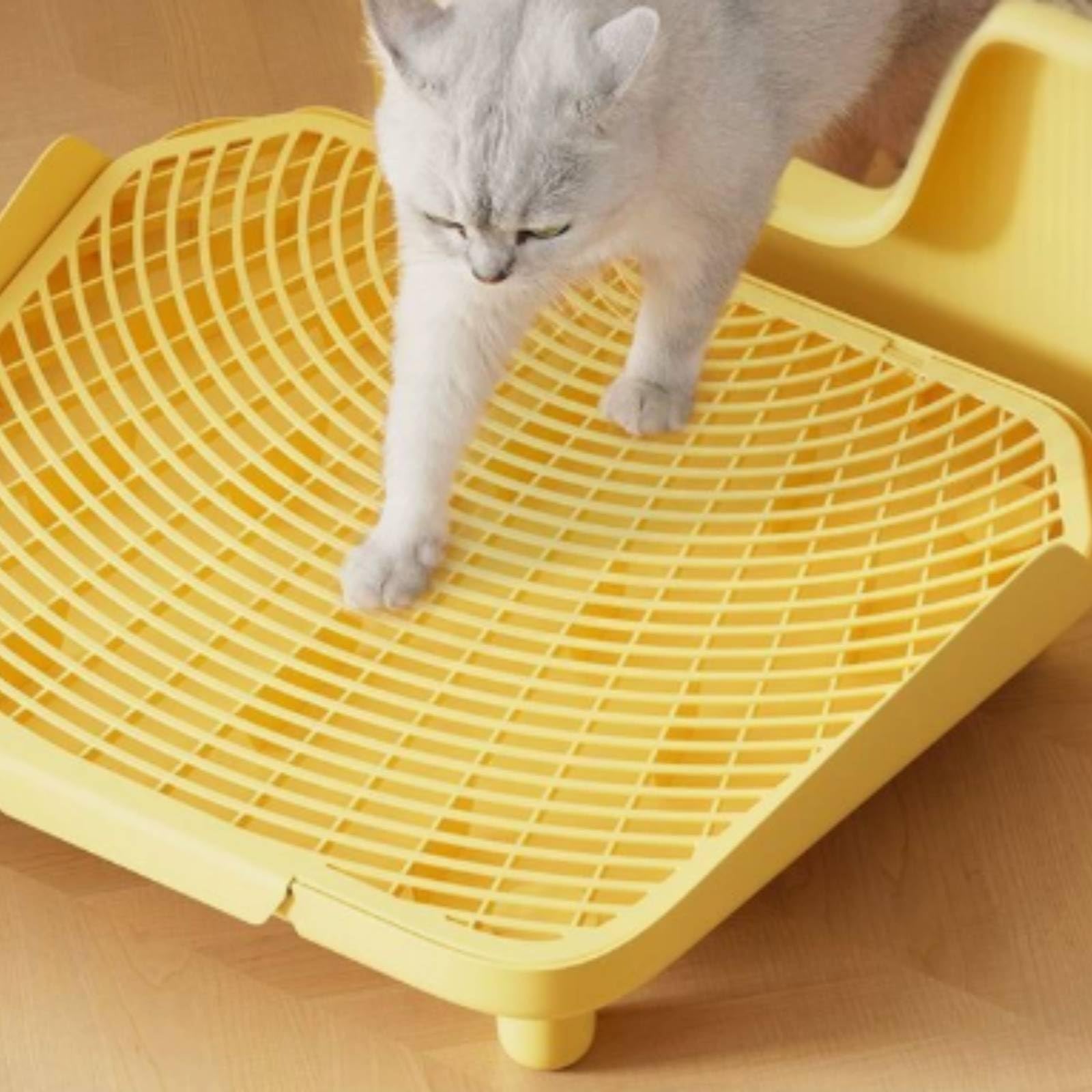 Colcolo Erhöht Katzenstreu Auffangmatte | Ungiftig, Katzenklo, Abwaschbar, Katzenklo Unterlage, für Wohnung, Mehrkatzenhaushalte, Weiß, 53CM