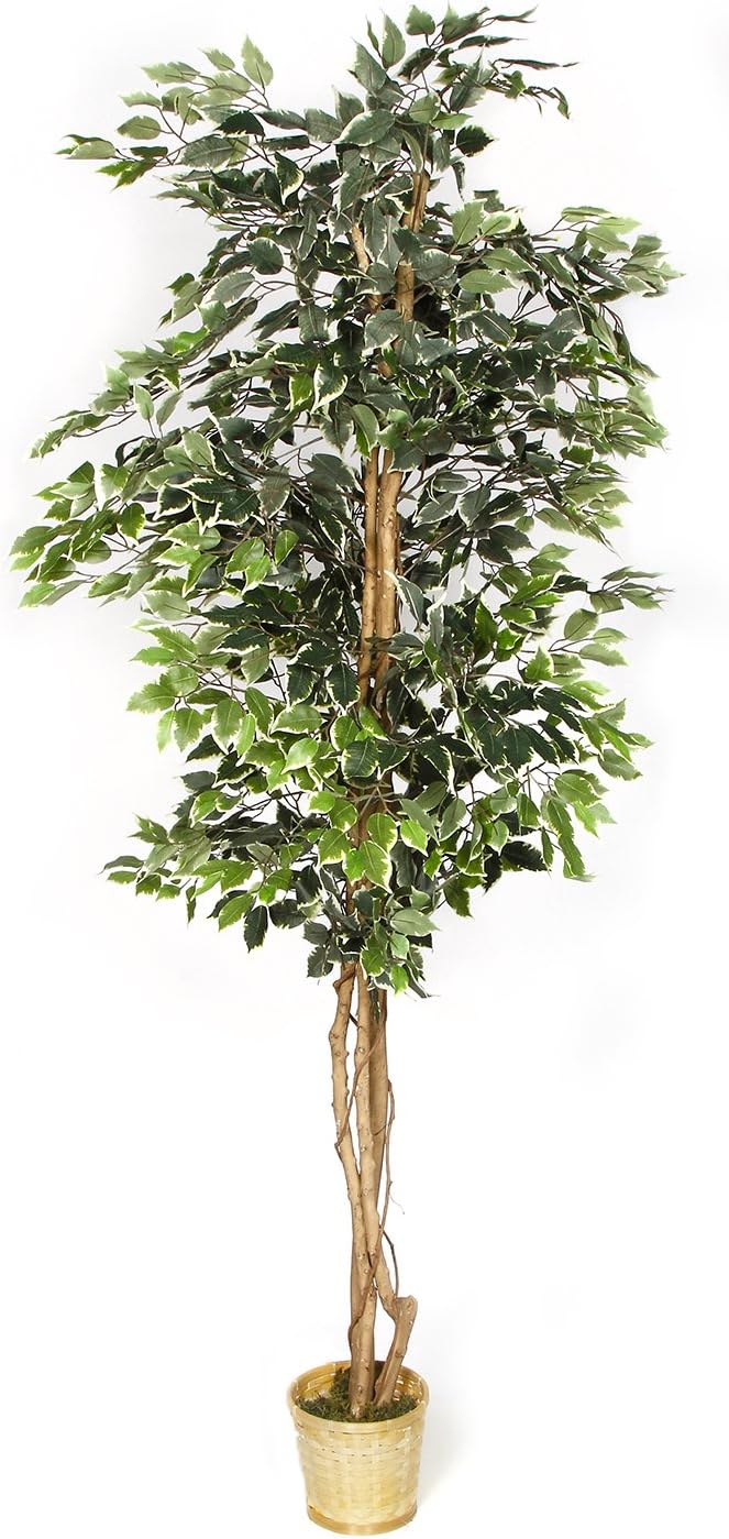 Darice 8" Basket Ficus Tree with 1260 Leaves, 84" Home