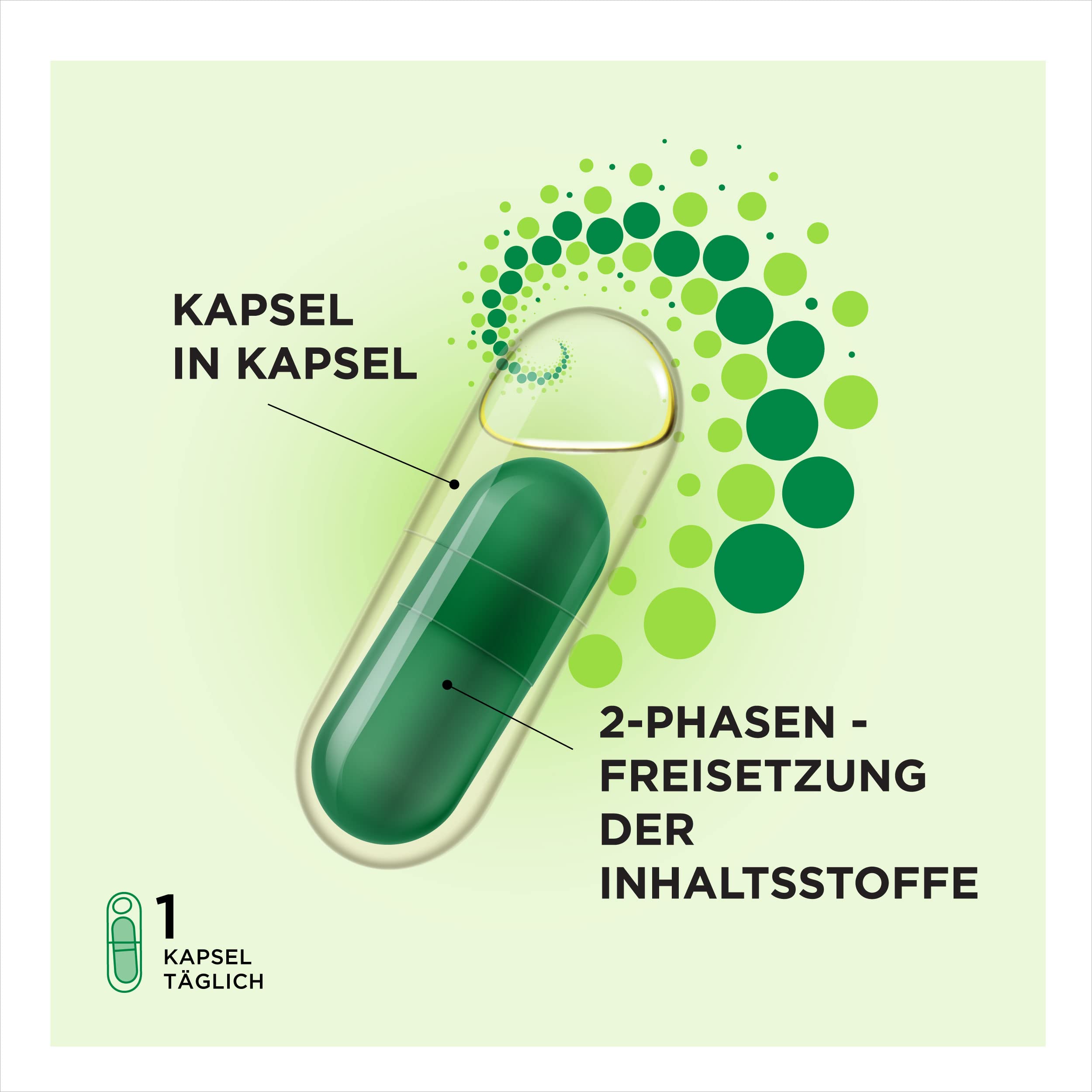ProCombo – das smarte Synbiotikum mit gezielter Ausrichtung der "guten" Bakterien. Doppelkapsel und flüssige Formel für schnelle Ergebnisse. 1 Kapsel pro Tag. Laborgeprüft (30 Kapseln)