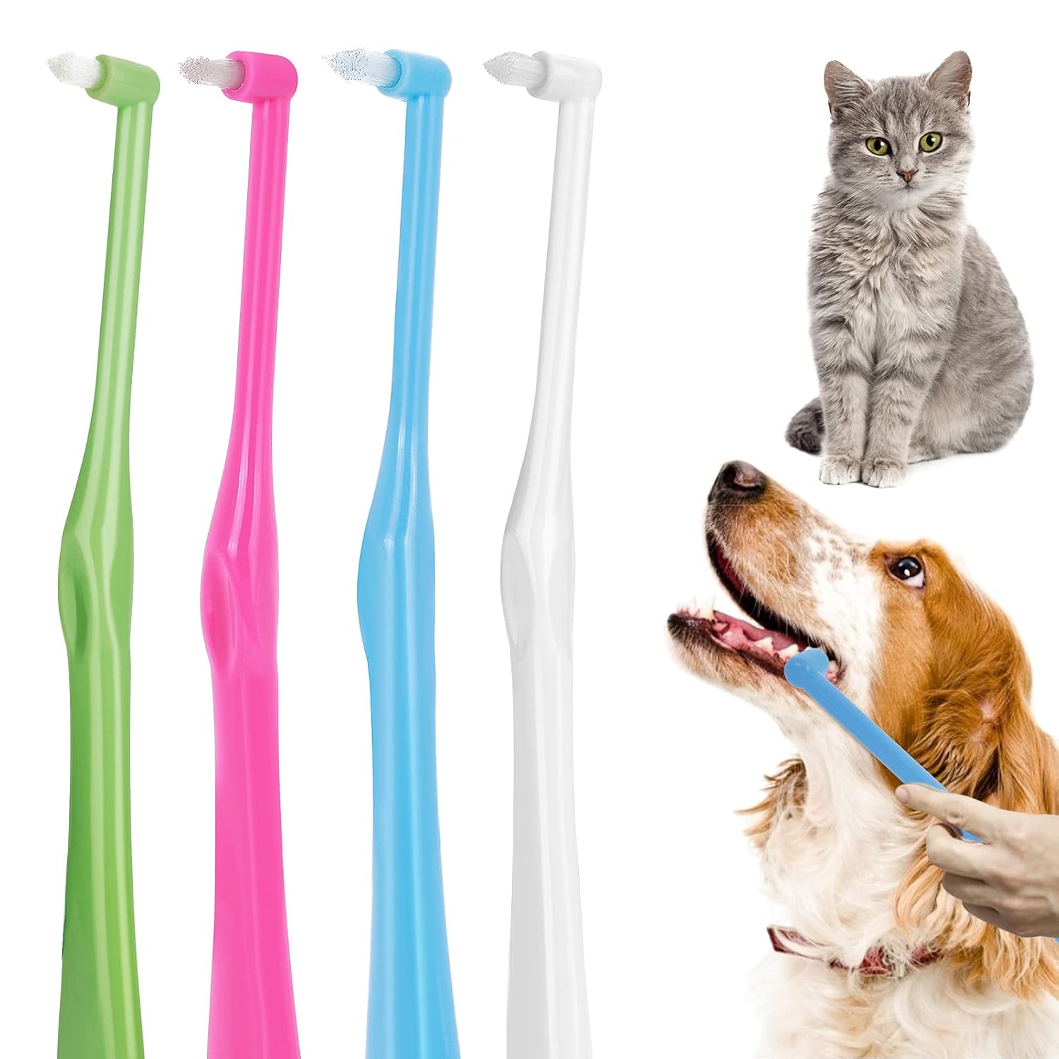 Molain Tufted Toothbrush for Cat Puppy, 4 Pcs Small Dog