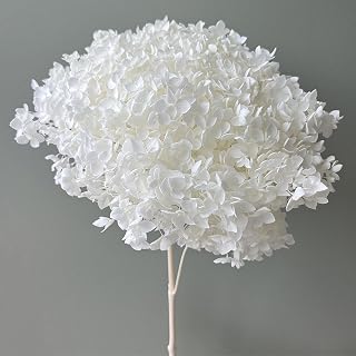 Anna Hydrangea Eternal Flower Anna Hydrangea Preservation Flower Bouquet Handmade DIY Material Wedding Decoration