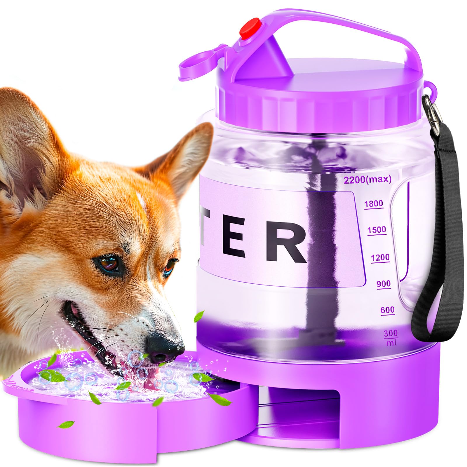 Pet Supplies : 77oz Large Dog Water Bottle Portable - Dog Travel